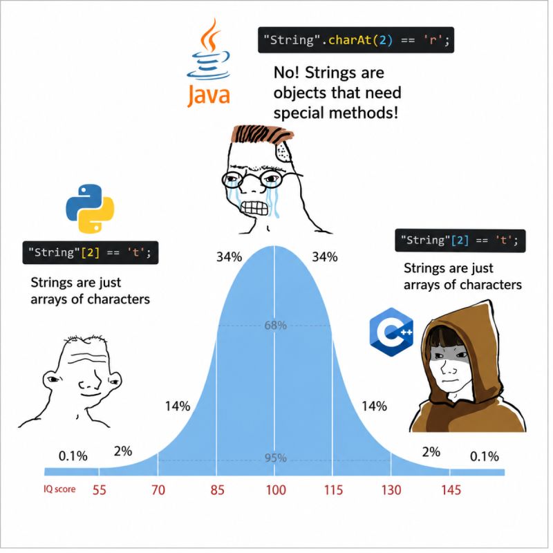 A comparison of how strings work in Java, C++, and Python